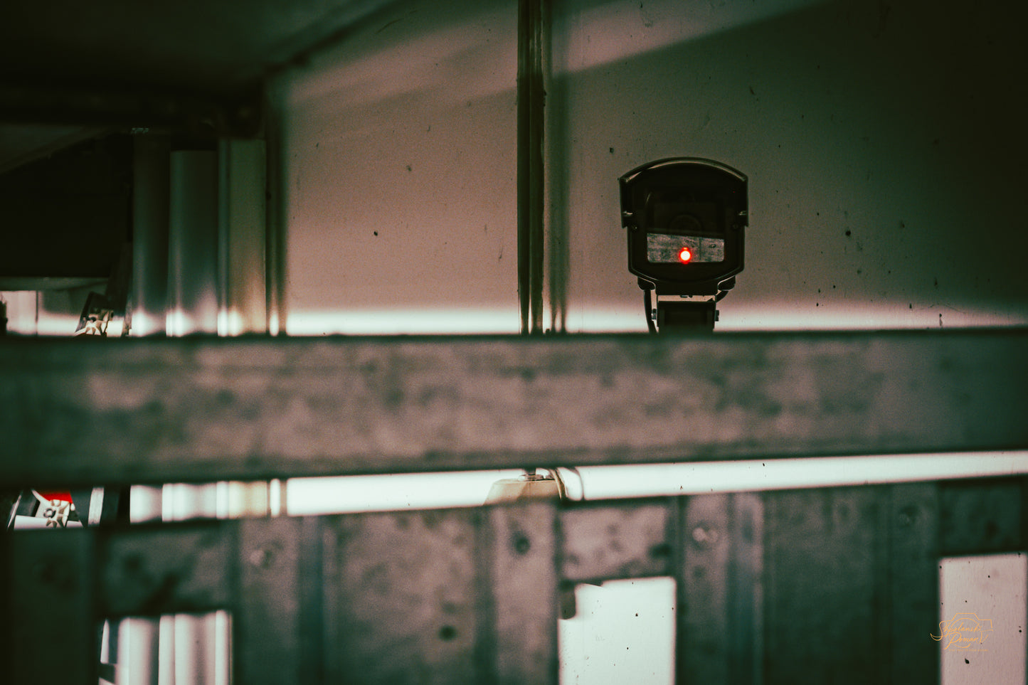 The Watcher