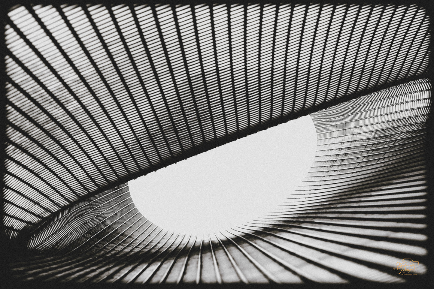 Woven metal mesh sculpture in black and white toward an oval skylight