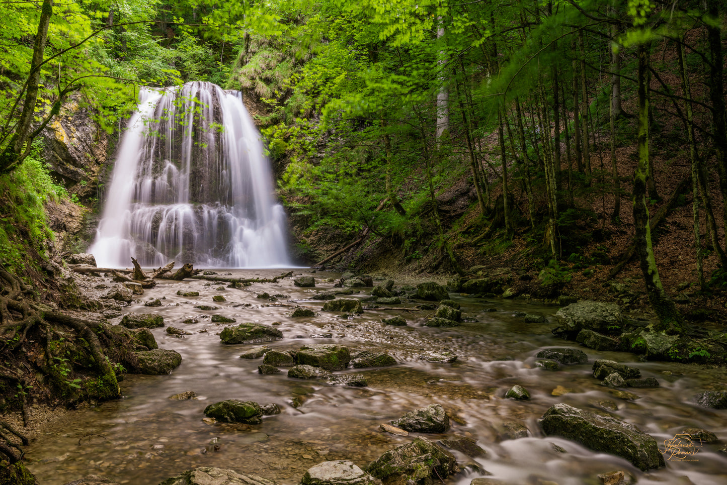 A soft waterfall in a green forest