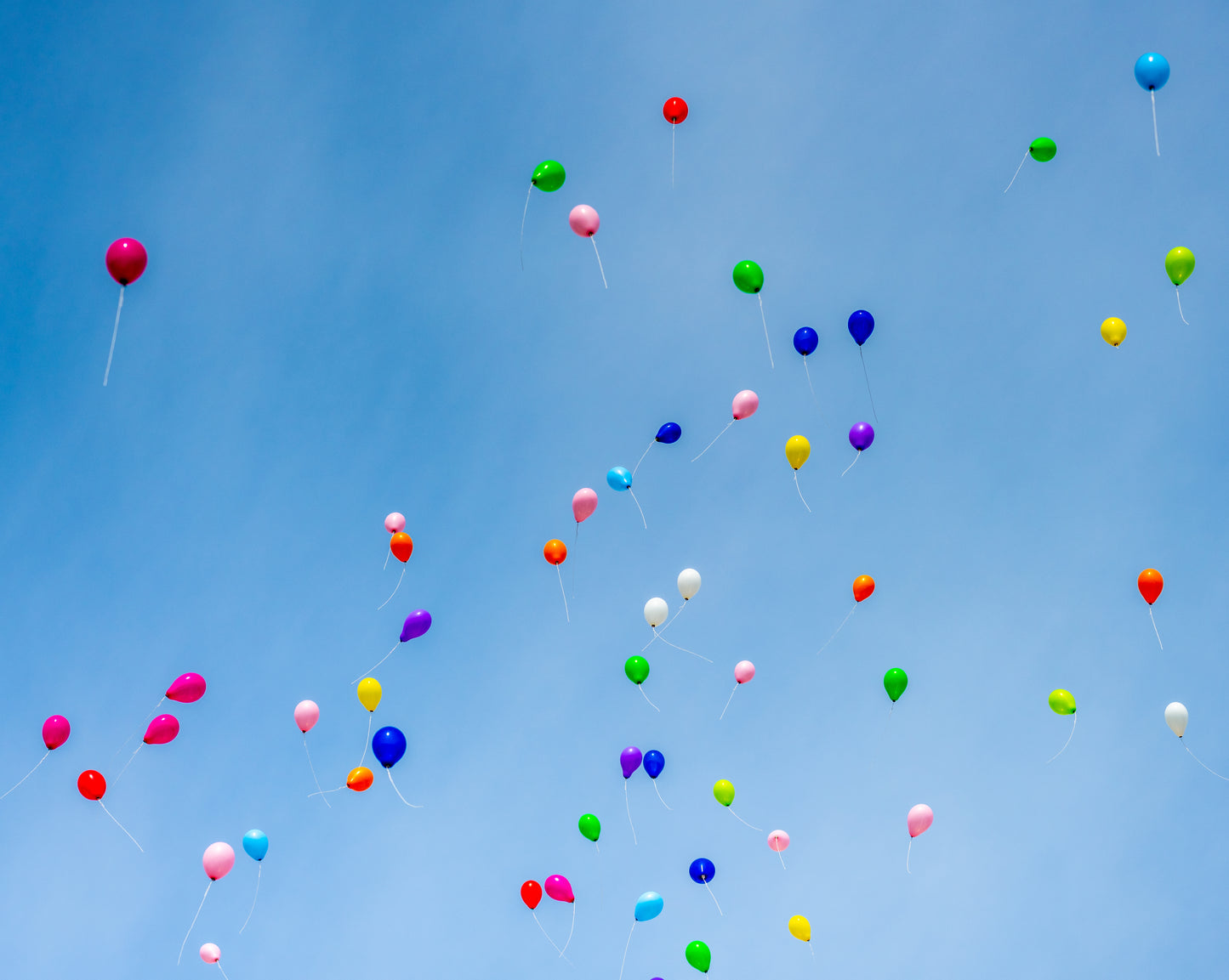 Flight of Hope.   Digital picture.