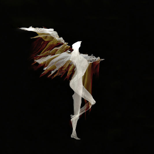 Elegant Paradox: The Black-Grey Angel. Digital Poster