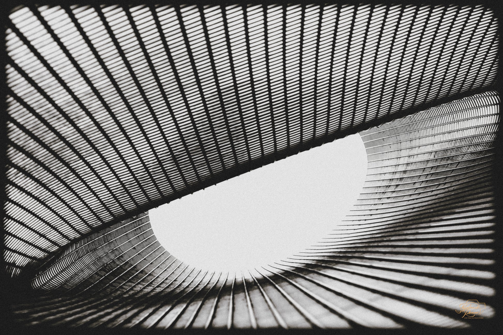 Woven metal mesh sculpture in black and white toward an oval skylight