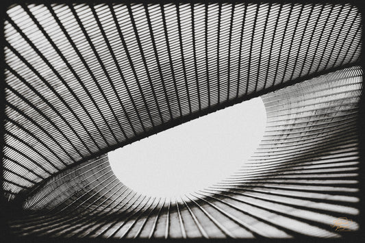 Woven metal mesh sculpture in black and white toward an oval skylight