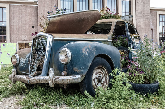 A vintage cabriolet car among greenery