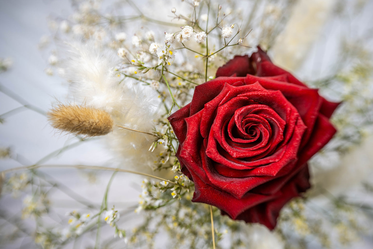 Radiant Red Rose with Rustic Touch. Digital poster.