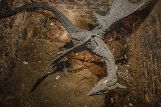A life-size pterosaur model swooping in a stone pit