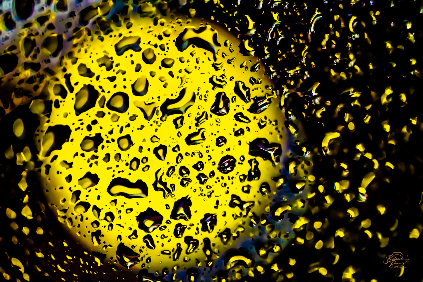 Liquid Gold — Edition I