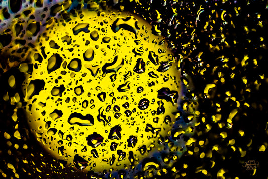 Liquid Gold — Edition I