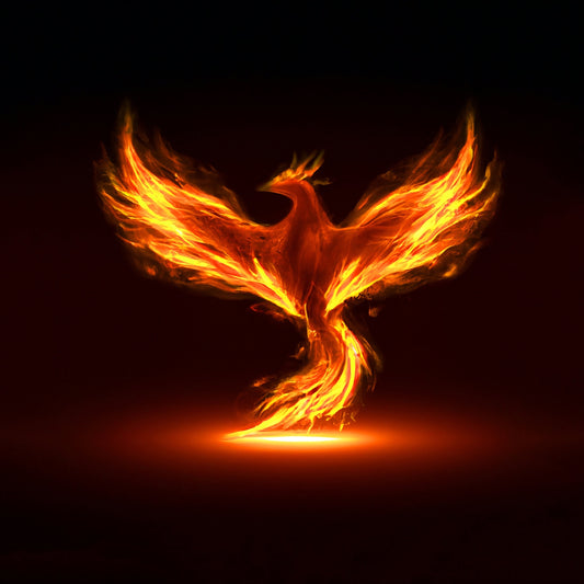 Rebirth's Light. Fiery Phoenix: Symbol of Rebirth. Digital poster.