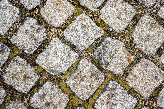 Playful Pathways: Square Cobblestones and Mossy Delights. Digital poster.