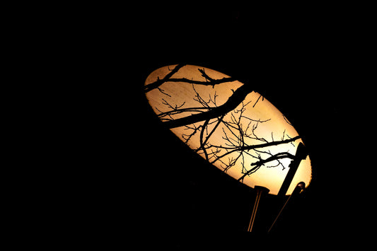 Transparent Silhouettes: Lamp and Tree.  Digital poster.